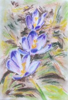 /album/kvety-suchy-pastel/obraz-001-jpg2/